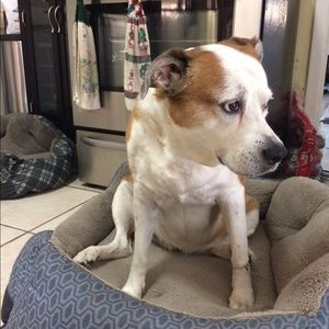 Meet your Posher, Shana